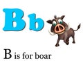 Boar wild animal with alphabate