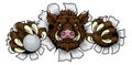 Boar Wild Hog Razorback Warthog Pig Golf Mascot Royalty Free Stock Photo