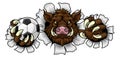 Boar Wild Hog Razorback Warthog Pig Soccer Mascot