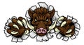 Boar Wild Hog Razorback Warthog Pig Sports Mascot