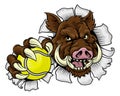 Boar Wild Hog Razorback Warthog Pig Tennis Mascot Royalty Free Stock Photo