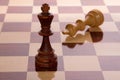 Chess Royalty Free Stock Photo