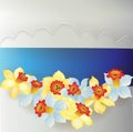 Board from daffodils Royalty Free Stock Photo