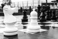 Board with large outdoor chess. The figure of the horse.Games in Royalty Free Stock Photo