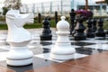 Board with large outdoor chess. The figure of the horse.Games in Royalty Free Stock Photo