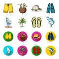 Board with a sail, a palm tree on the shore, slippers, a white shark. Surfing set collection icons in cartoon,flat style Royalty Free Stock Photo