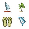 Board with a sail, a palm tree on the shore, slippers, a white shark. Surfing set collection icons in cartoon style Royalty Free Stock Photo