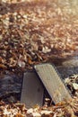 A board with sharp nails for yoga lies in the autumn leaves in the forest. Therapy standing on a sadhu board. Meditation Royalty Free Stock Photo