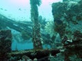 Board a sunken ship under water in the Philippines