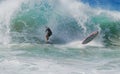 Board surfer riding a wave and wiping out at Aliso Beach in Laguna Beach, California.