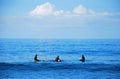 Board surfers waiting for a wave in Laguna Beach, California.