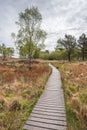 Board walk around the top of High Dam Tarn