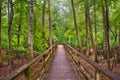 Board Walk in Congaree National Park Royalty Free Stock Photo