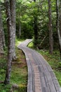 Board Walk on Grand Manan