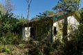 Boarded up abandoned house overgrown in florida