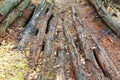 Boards, decayed, old, old, weak, decrepit, wood, beams Royalty Free Stock Photo