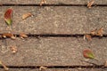 Boards with leaves