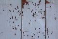 Boards under flaky paint and traces of termites Royalty Free Stock Photo