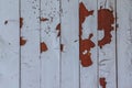 Boards under flaky paint and traces of termites Royalty Free Stock Photo