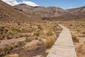 Boardwalk across marshes in Tongariro National Park