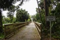 A boardwalk across marshland and lush tropical woods, Big Talbot Island State Park, Florida, USA