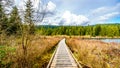 Boardwalk along Rolley Lake in Rolley Lake Provincial Park