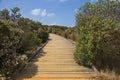 Boardwalk at Anglesea River in Anglesea, Victoria Royalty Free Stock Photo
