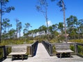 Boardwalk in Big Lagoon State Park surrounded by greenery under the sunlight in Florida