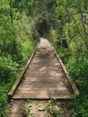 Boardwalk bridge on the lake kinosao trail in riding mountain national park, manitoba, canada Royalty Free Stock Photo