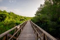 A boardwalk bridge to Playa de Muro beach in Can Picafort, Mallorca Royalty Free Stock Photo