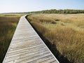 Boardwalk at coastal marsh. Royalty Free Stock Photo