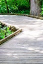 green forest with a boardwalk