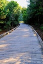 Boardwalk Curving into Distance