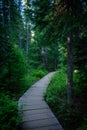 Boardwalk Curving to the Right