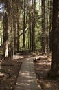 Boardwalk in Estonian bog