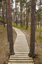 Boardwalk in Estonian forest