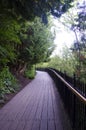 Boardwalk through forest Royalty Free Stock Photo