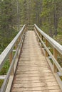 Boardwalk into the Forest Royalty Free Stock Photo