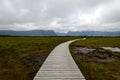 Boardwalk in Gros Morne National Park