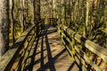 Boardwalk Hike Through The Bottomland Hardwood Forest Royalty Free Stock Photo