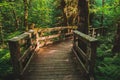 Boardwalk hiking trail through the forest, Oregon