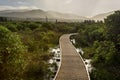 Boardwalk on Irish peatland