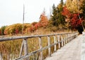 Boardwalk through Marsh Grasses during Autumn Royalty Free Stock Photo