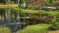 A boardwalk leading through a beautiful lush green and red fall alpine meadow. Royalty Free Stock Photo