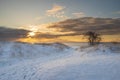 Boardwalk to the beach through dunes covered by fresh snow in winter morning Royalty Free Stock Photo