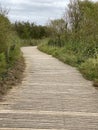 Boardwalk leading to the Beach Royalty Free Stock Photo