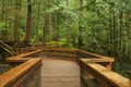 Boardwalk in lynn valley forest