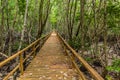 Boardwalk through mangroves at Gaya Island in Tunku Abdul Rahman National Park, Sabah, Malays Royalty Free Stock Photo
