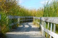 Boardwalk in the Marsh Royalty Free Stock Photo
