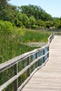 Boardwalk in marsh Royalty Free Stock Photo